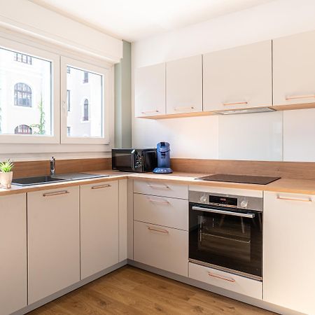 Festival -Appartement 3 Pieces Annecy Centre Ville Extérieur photo